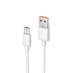 Riversong CT20 BETA Type C Cable 1M