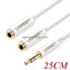 Ugreen 10739 3.5mm Male To 3.5mm Female ×2 Color Abs Case White 25cm Av134 10010739